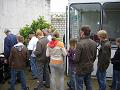 Haehnewettkraehen 2009 007